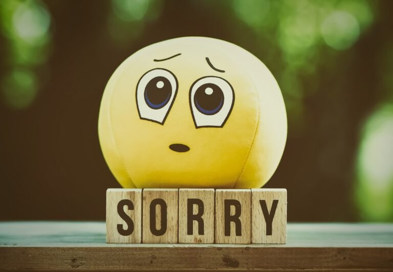 Reasons to Stop Saying I am sorry