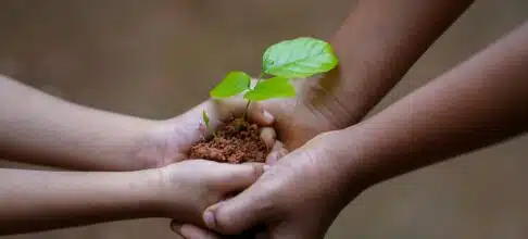 Charitable Giving